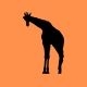 Giraffe Music