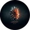 Lubarsky