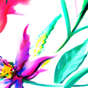 I Love U Small Cover